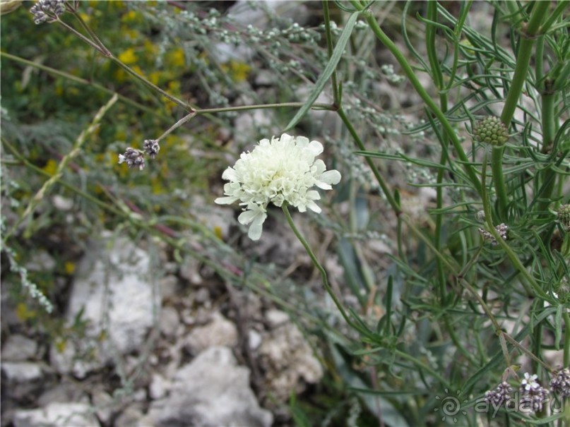 Ветер над Волгой