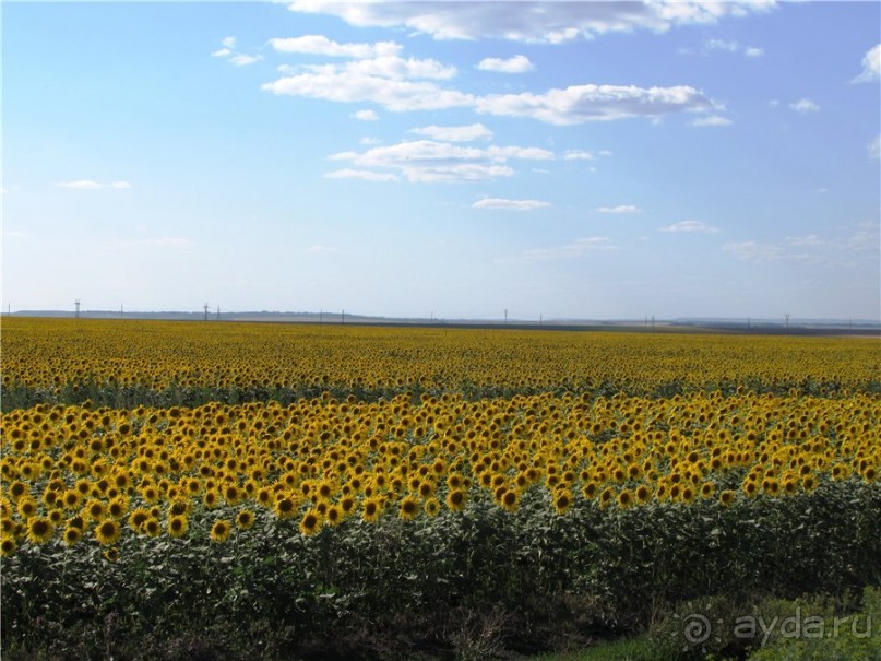 Ветер над Волгой