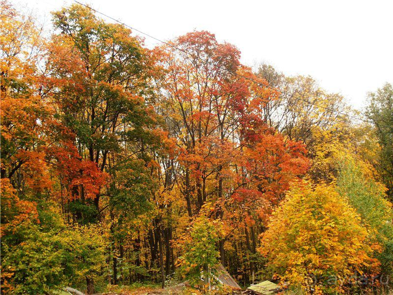 Хвалынская осень