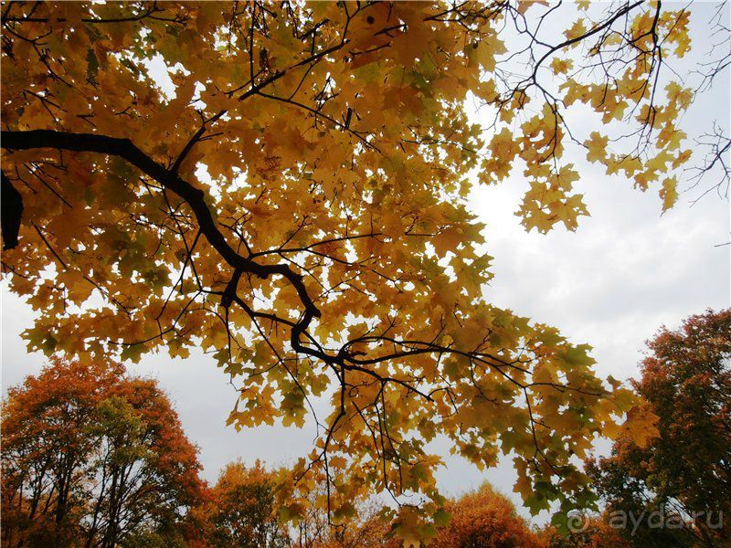 Хвалынская осень