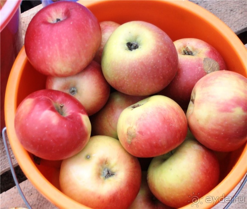 Хвалынская осень