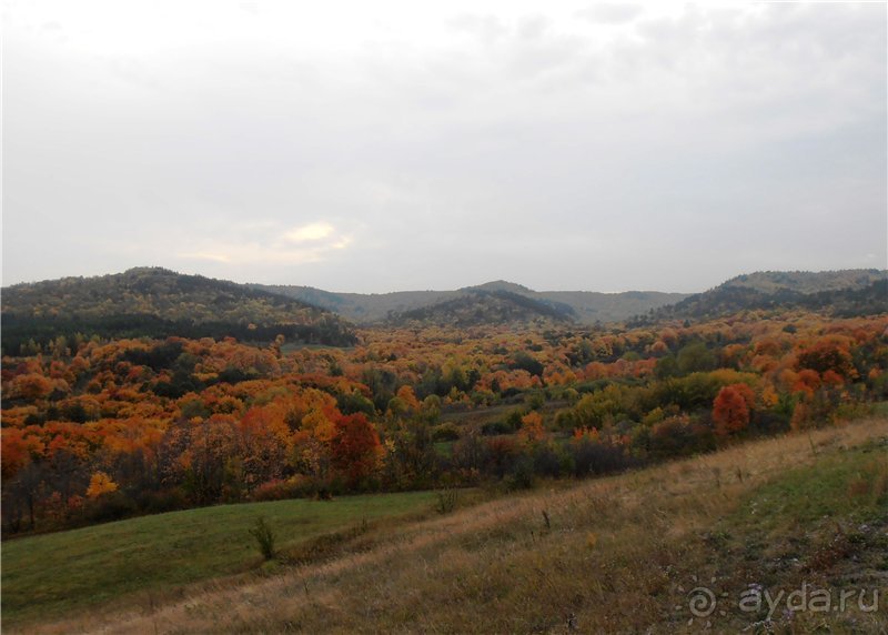 Хвалынская осень