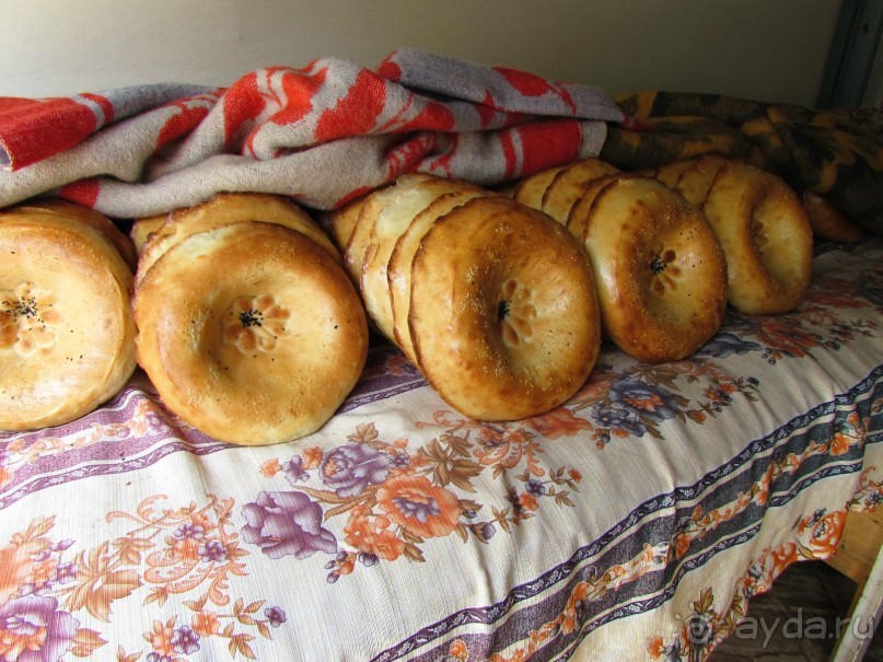 Орнаменты Самарканда. Часть 2