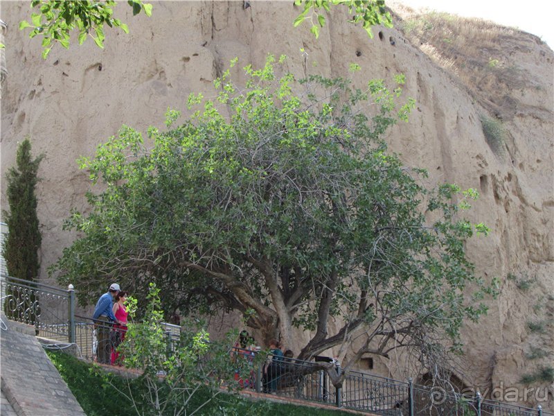 Орнаменты Самарканда. Часть 2