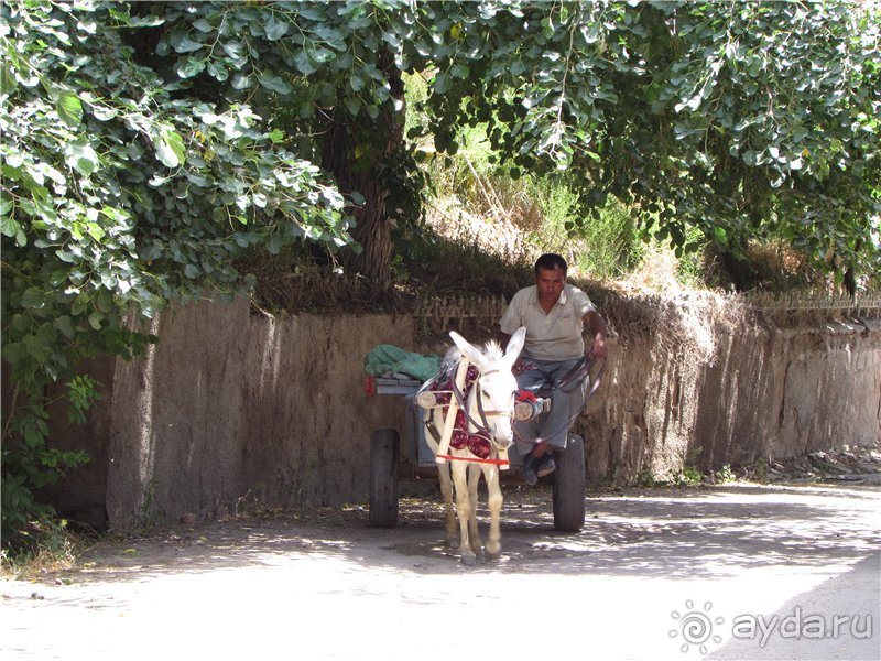 Орнаменты Самарканда. Часть 2