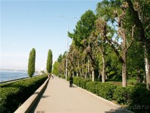 Саратов в деталях