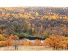 Саратов в деталях