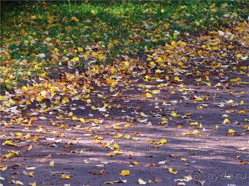 «Дворцов и замков свет…». Часть 3