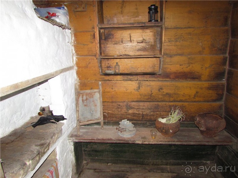 Дом со львом