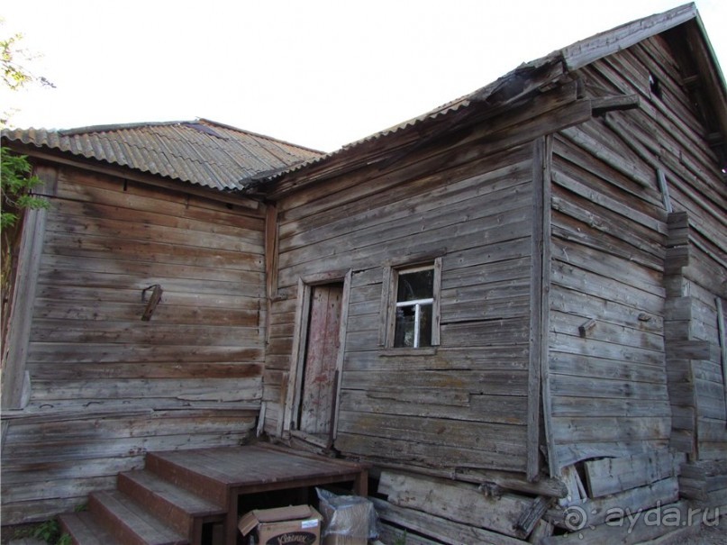 Дом со львом