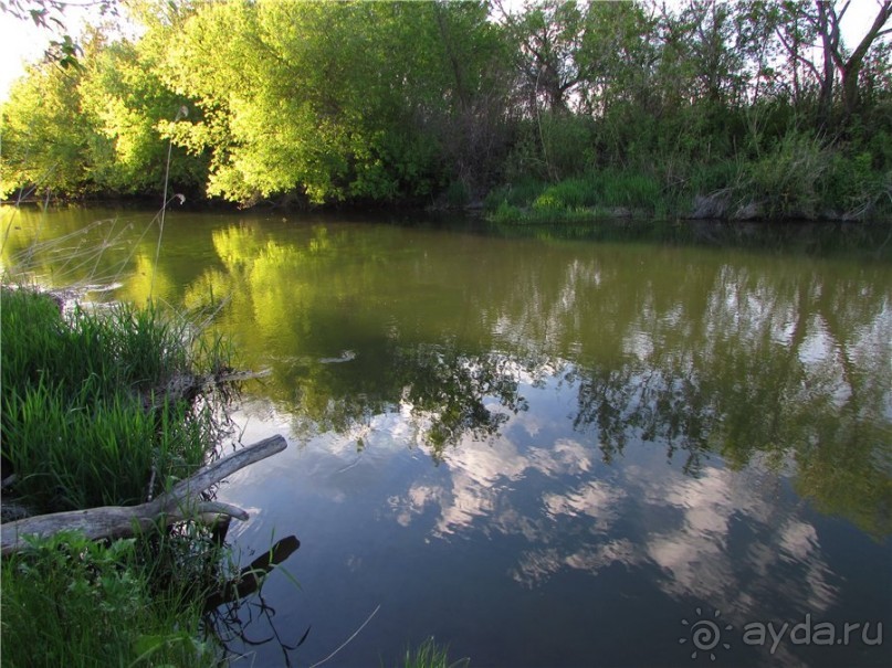 Дом со львом