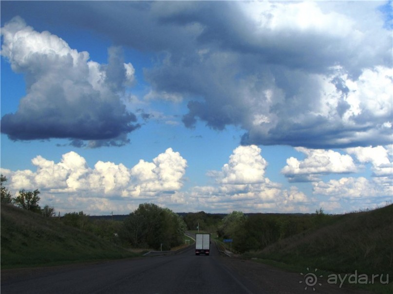 Дом со львом