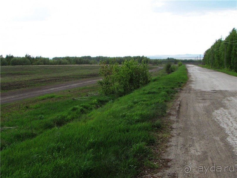 Дом со львом