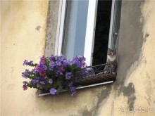 Жигулёвск - город из прошлого