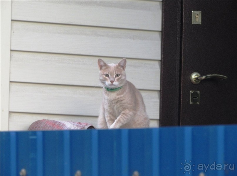 Жигулёвск - город из прошлого