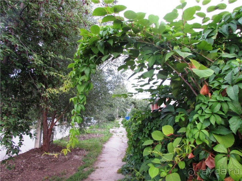 Жигулёвск - город из прошлого