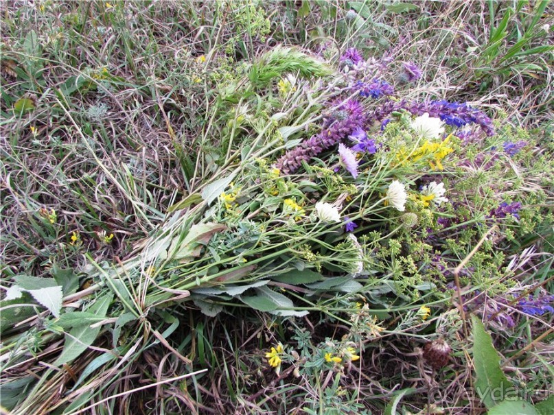 Жигулёвск - город из прошлого