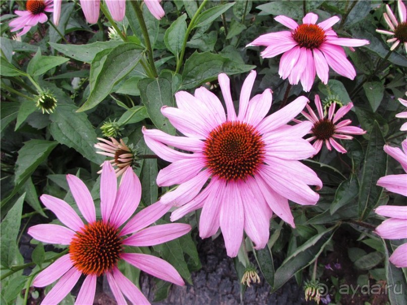 Жигулёвск - город из прошлого