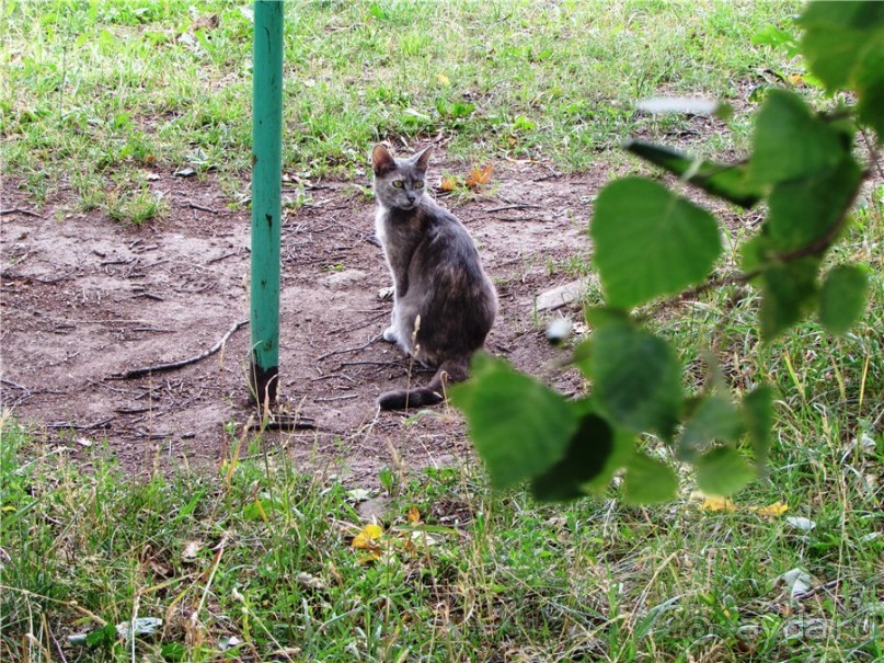 Жигулёвск - город из прошлого
