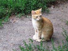 Жигулёвск - город из прошлого