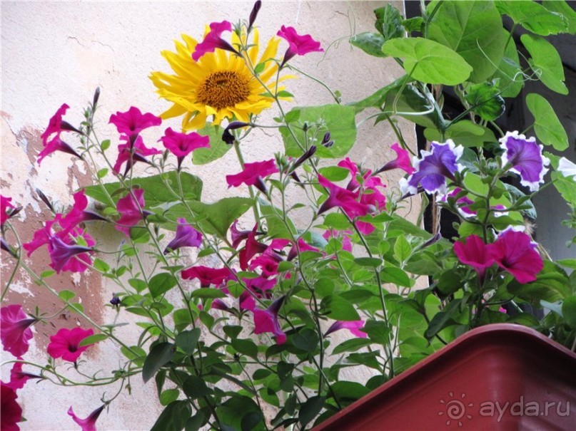 Жигулёвск - город из прошлого