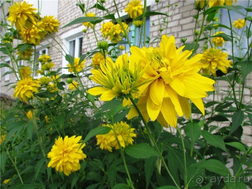 Жигулёвск - город из прошлого