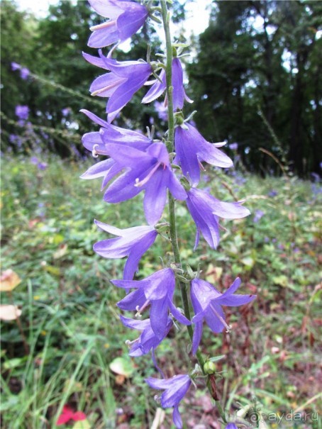 Жигулёвск - город из прошлого