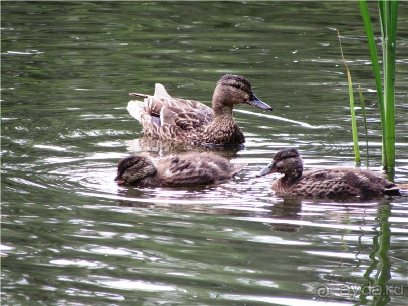 Жигулёвск - город из прошлого