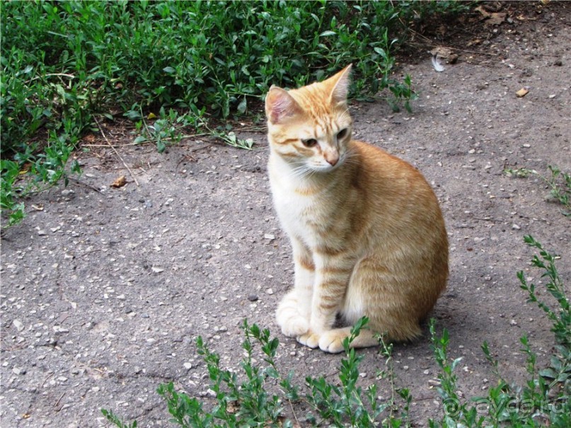 Жигулёвск - город из прошлого