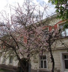 Вольск под облаками