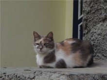 Вольск под облаками