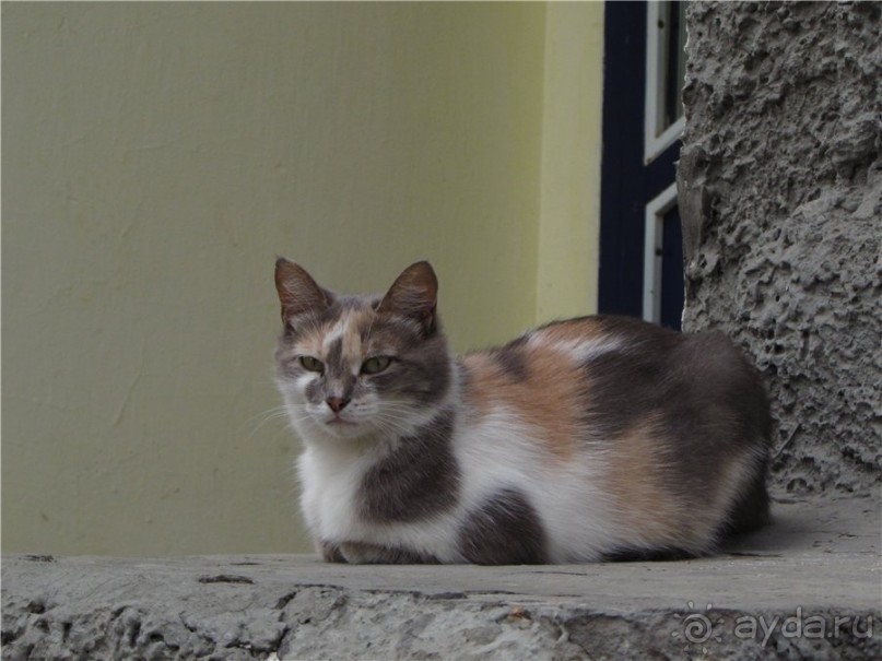 Вольск под облаками