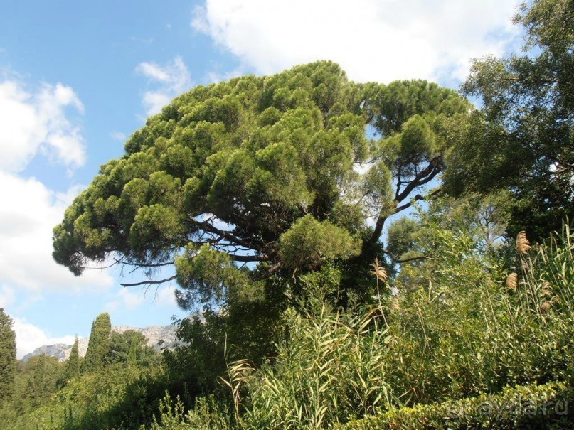 Крым, внезапно. Часть 2