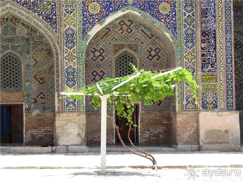 Орнаменты Самарканда. Часть 1