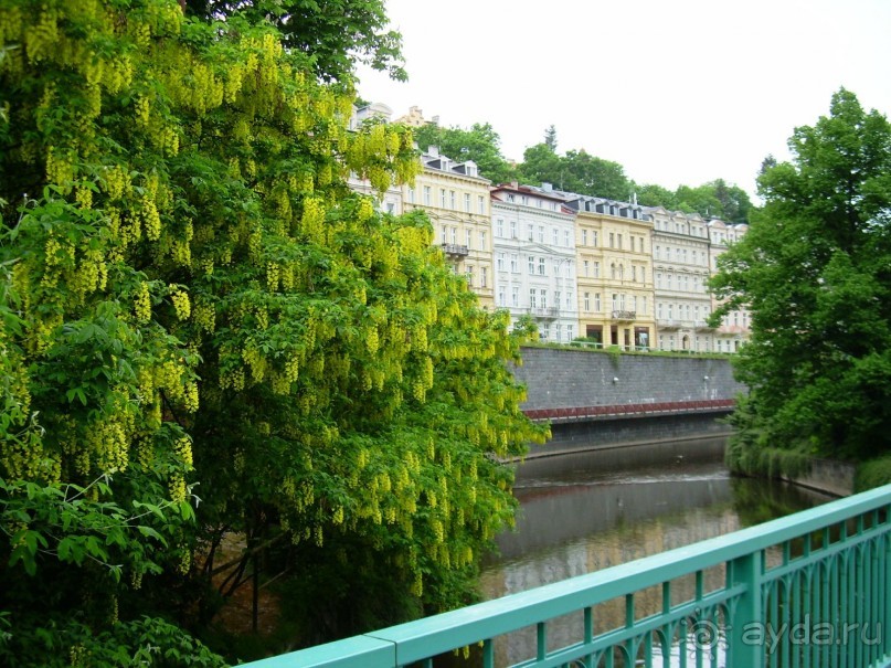 Карловарские радости