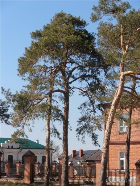 Свияжск - странствующий остров