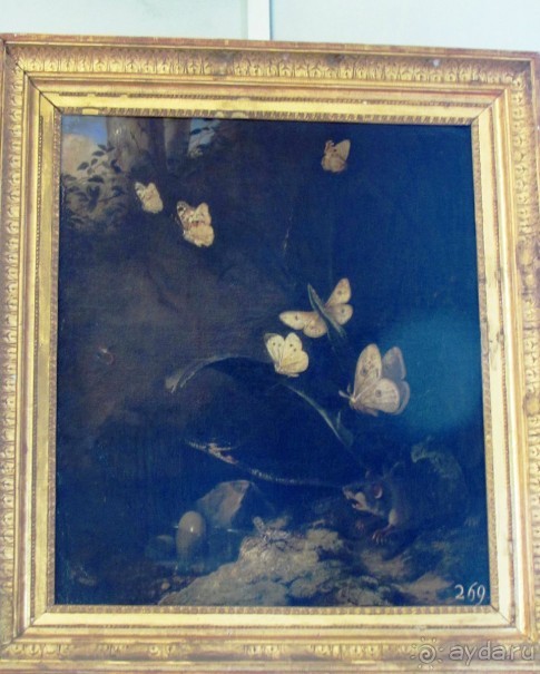 «Дворцов и замков свет…». Часть 1