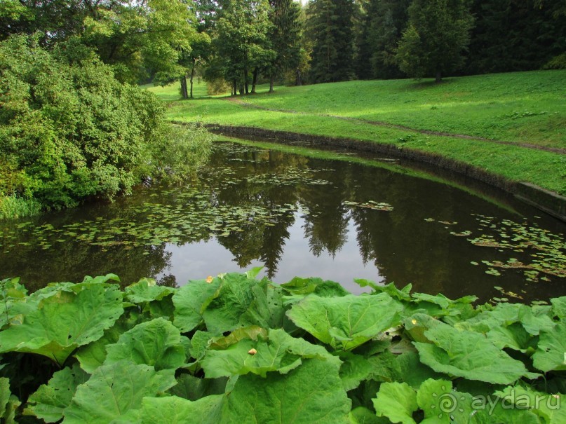 «Дворцов и замков свет…». Часть 1