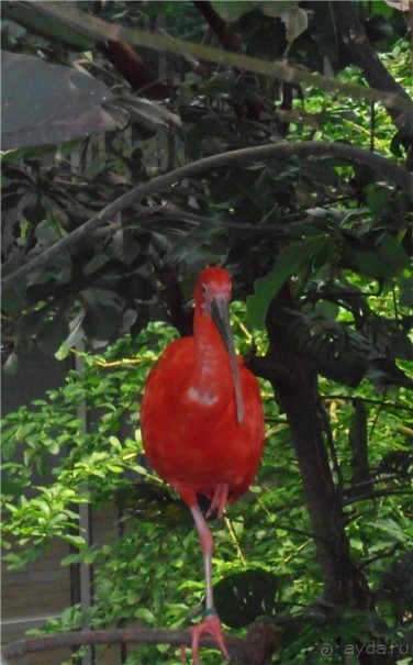 Каникулы в Гётеборге, или Всё лучшее - детям