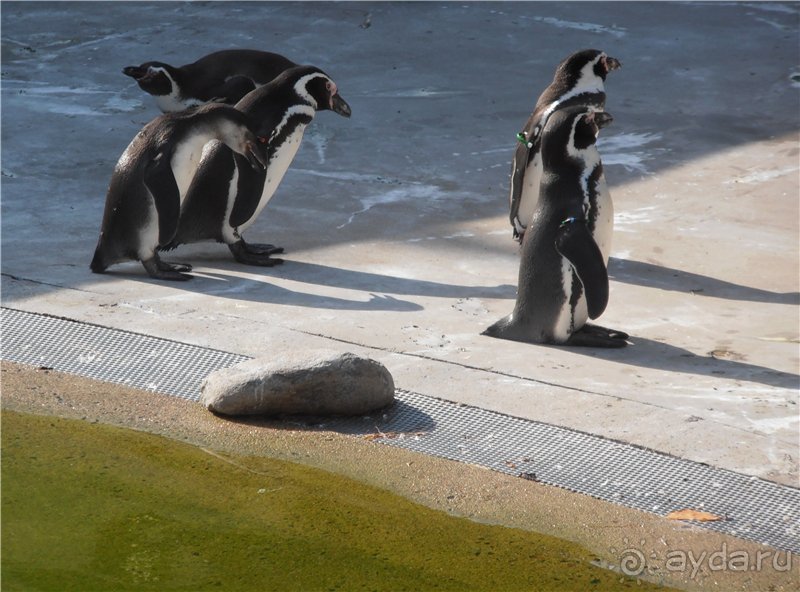 Каникулы в Гётеборге, или Всё лучшее - детям