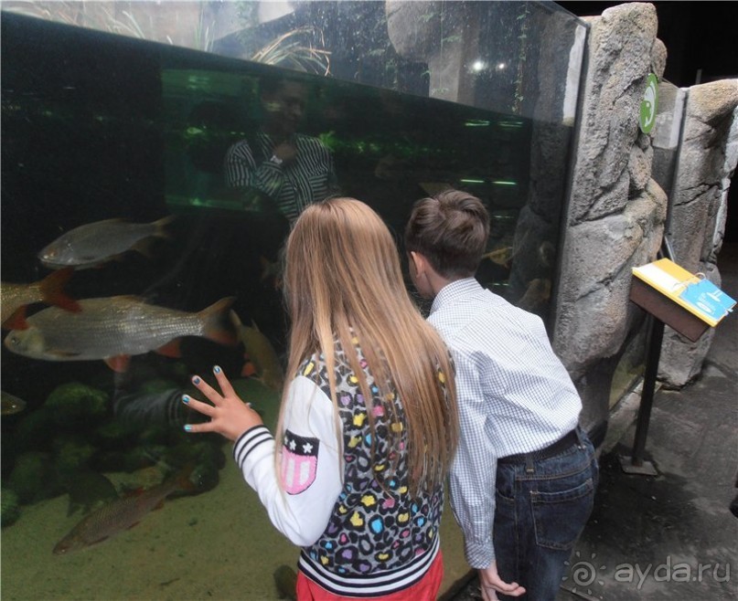 Каникулы в Гётеборге, или Всё лучшее - детям