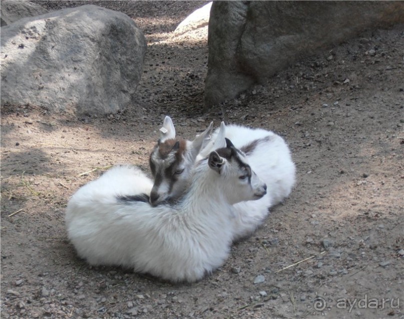 Каникулы в Гётеборге, или Всё лучшее - детям