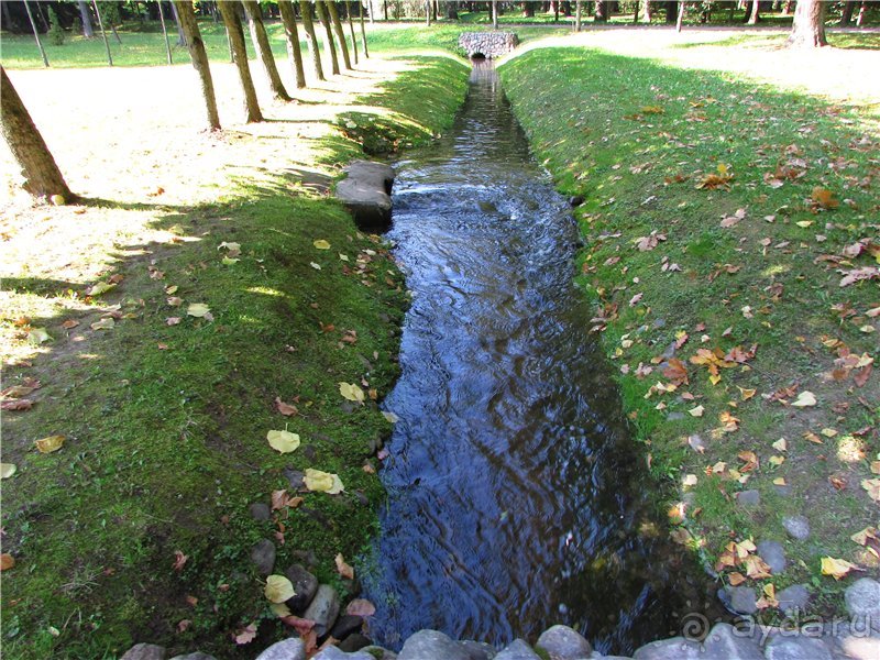 Альбом отзыва "Радуга Петергофа"