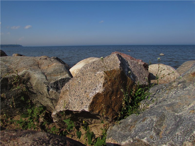 Альбом отзыва "Радуга Петергофа"