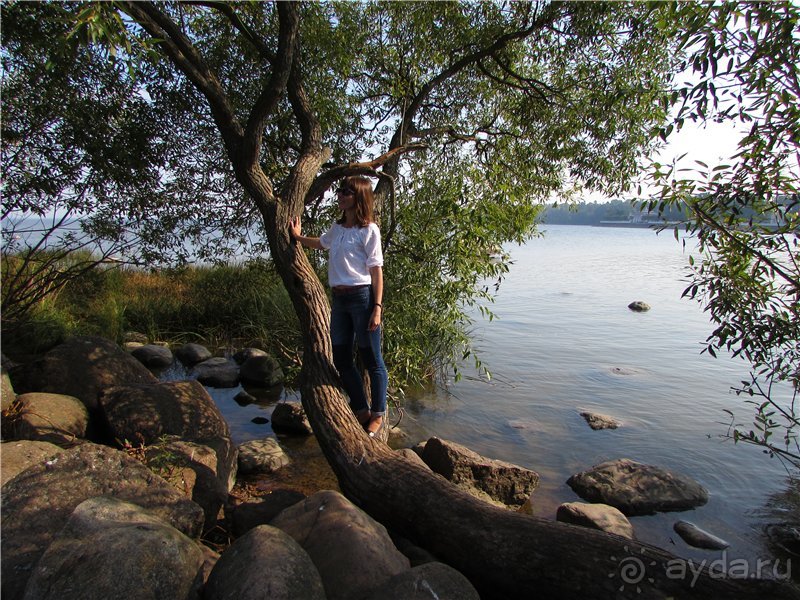 Альбом отзыва "Радуга Петергофа"