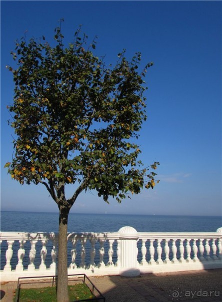 Альбом отзыва "Радуга Петергофа"