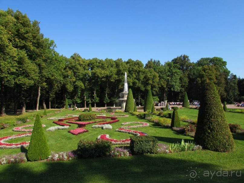 Альбом отзыва "Радуга Петергофа"