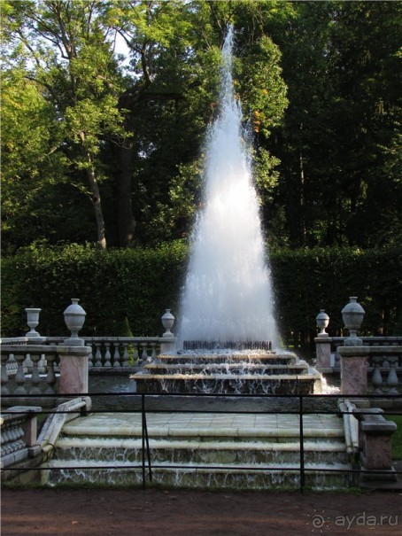 Альбом отзыва "Радуга Петергофа"