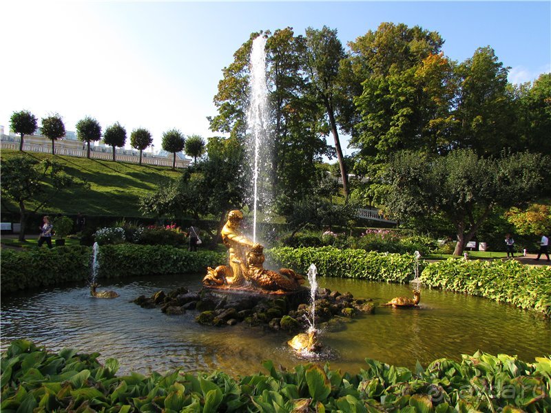 Альбом отзыва "Радуга Петергофа"