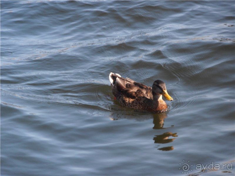 Стокгольм - солнечный город